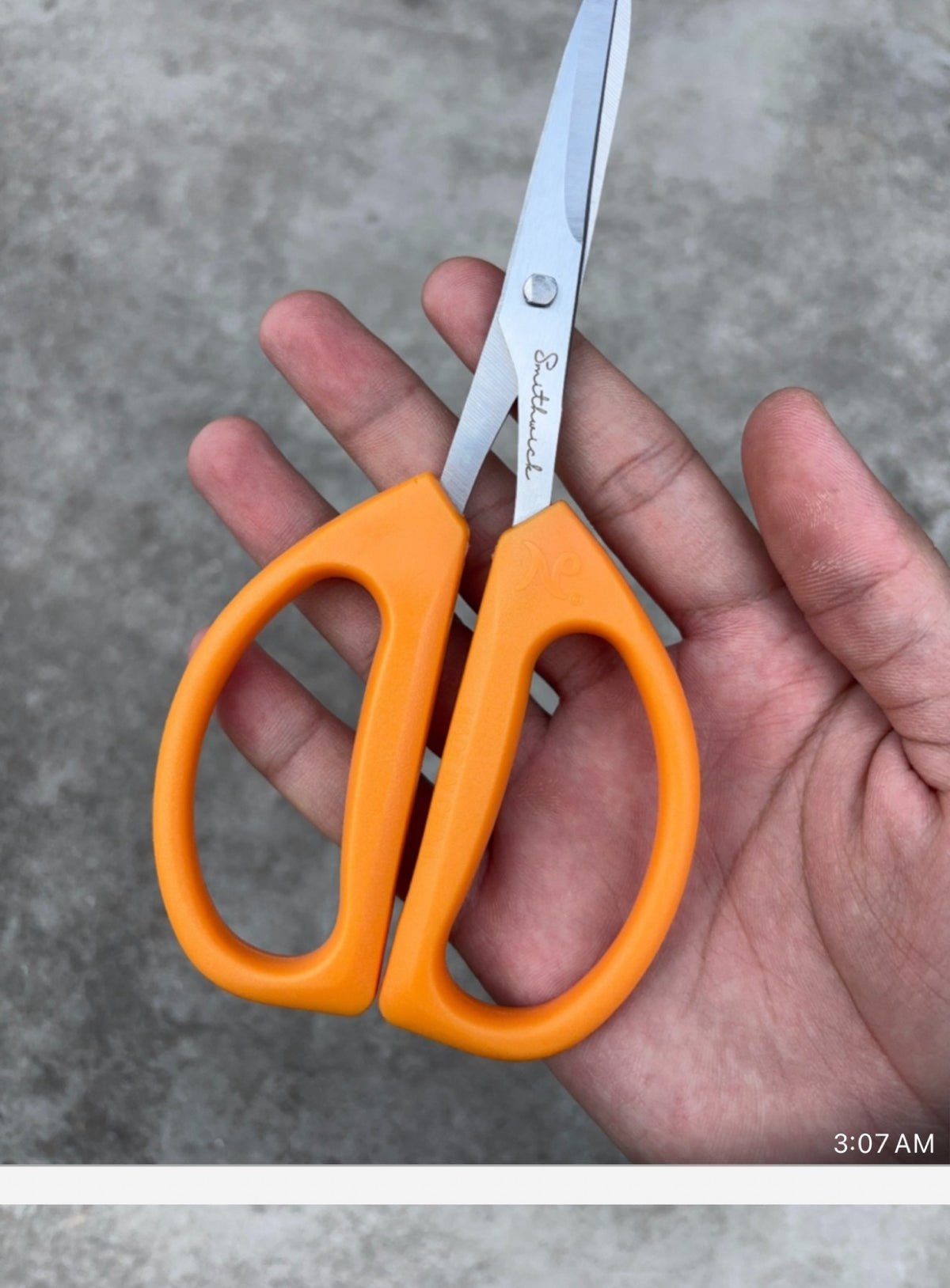 Hand holding the finished Smithwick Kitchen Shears