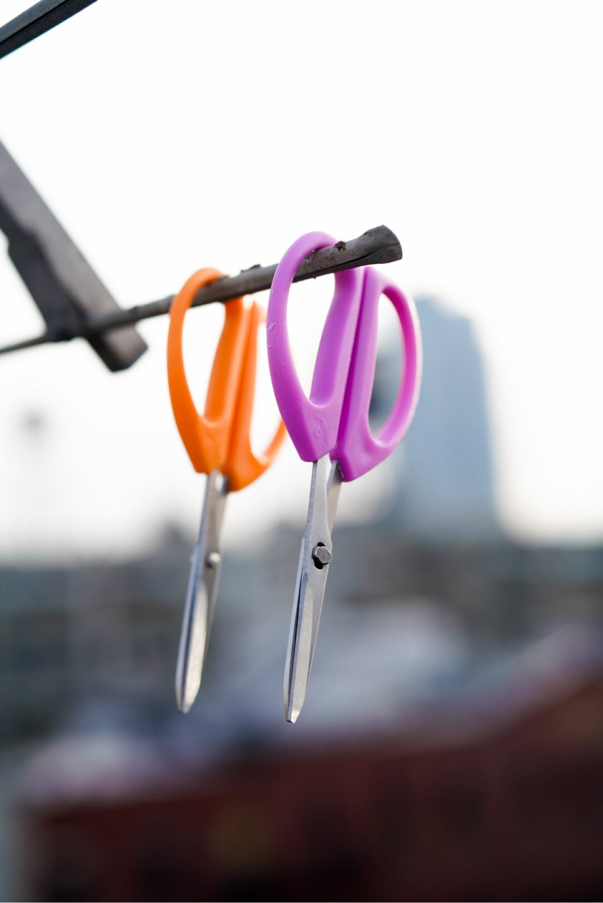 Smithwick Kitchen Shears hanging — studio shot