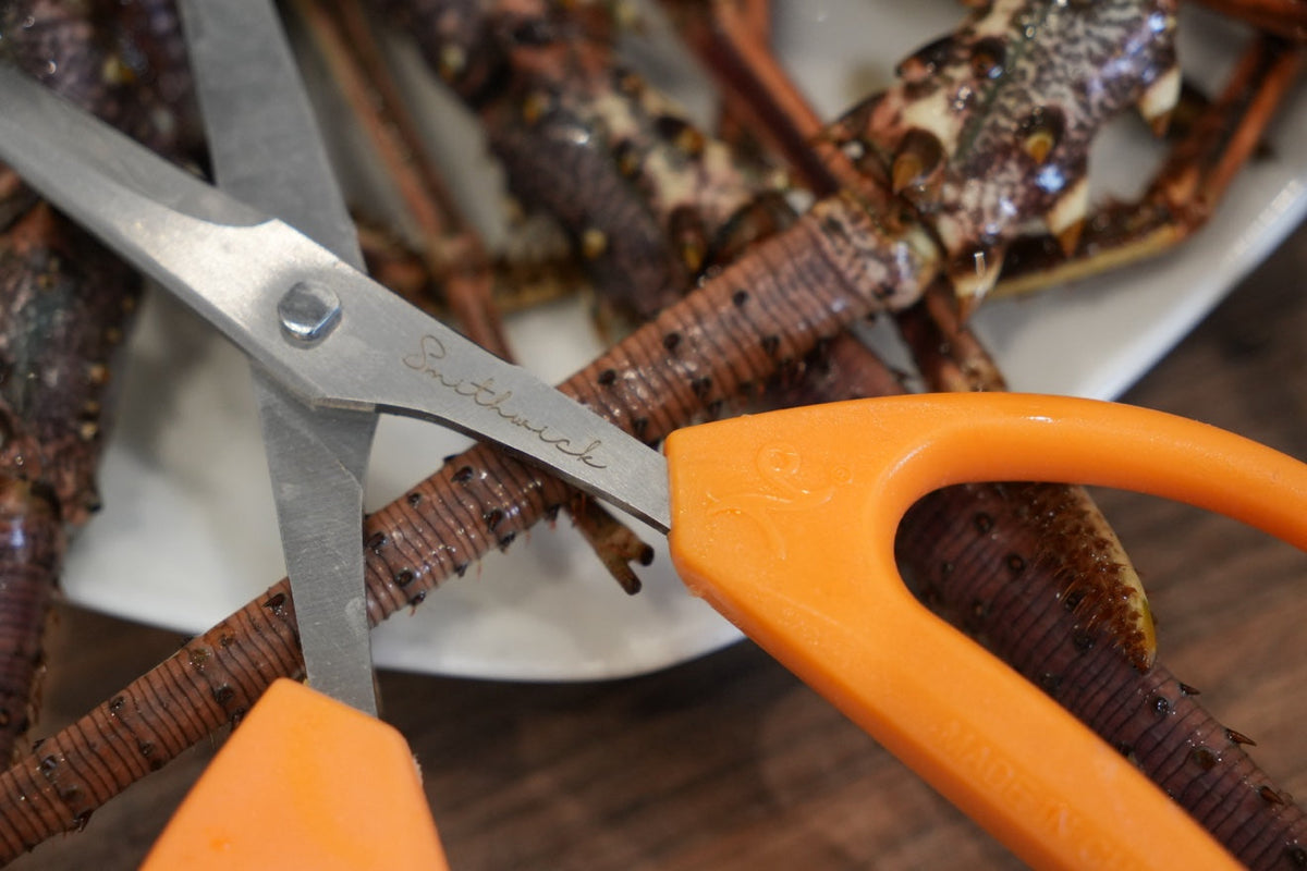 Smithwick kitchen shears cutting lobster